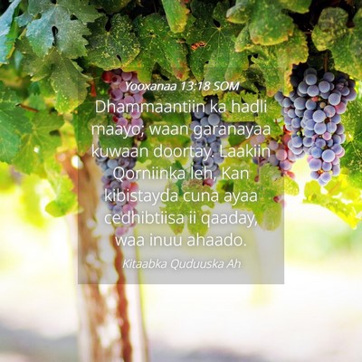Picture 04 - Yooxanaa 13:18 SOM - Dhammaantiin ka hadli maayo; waan garanayaa - Bible Verse Picture