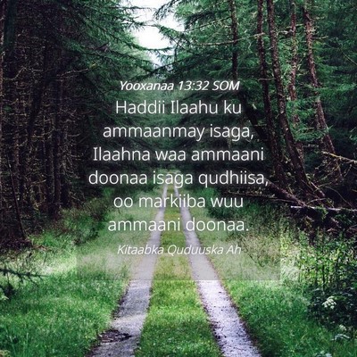 Picture 04 - Yooxanaa 13:32 SOM - Haddii Ilaahu ku ammaanmay isaga, Ilaahna waa - Bible Verse Picture