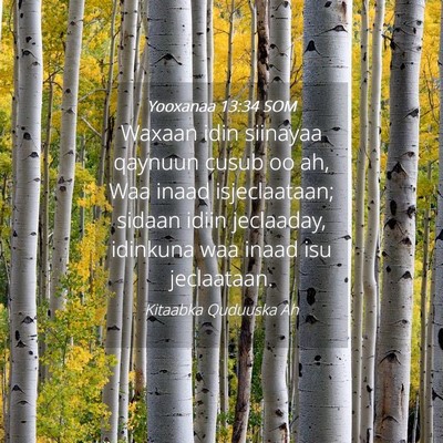 Picture 04 - Yooxanaa 13:34 SOM - Waxaan idin siinayaa qaynuun cusub oo ah, Waa - Bible Verse Picture