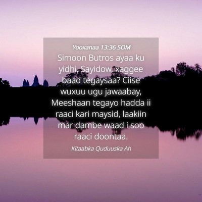 Picture 04 - Yooxanaa 13:36 SOM - Simoon Butros ayaa ku yidhi, Sayidow, xaggee baad - Bible Verse Picture