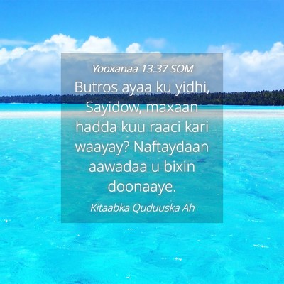 Picture 04 - Yooxanaa 13:37 SOM - Butros ayaa ku yidhi, Sayidow, maxaan hadda kuu - Bible Verse Picture