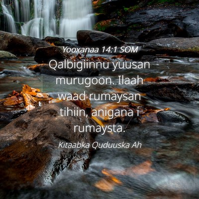 Picture 04 - Yooxanaa 14:1 SOM - Qalbigiinnu yuusan murugoon. Ilaah waad rumaysan - Bible Verse Picture