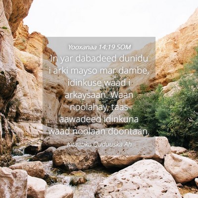 Picture 04 - Yooxanaa 14:19 SOM - In yar dabadeed dunidu i arki mayso mar dambe, - Bible Verse Picture