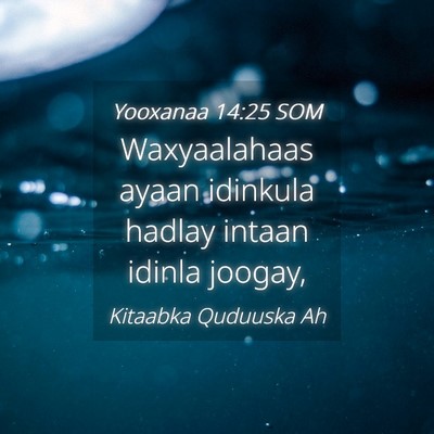 Picture 04 - Yooxanaa 14:25 SOM - Waxyaalahaas ayaan idinkula hadlay intaan idinla - Bible Verse Picture