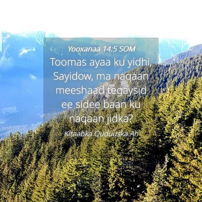Picture 04 - Yooxanaa 14:5 SOM - Toomas ayaa ku yidhi, Sayidow, ma naqaan meeshaad - Bible Verse Picture