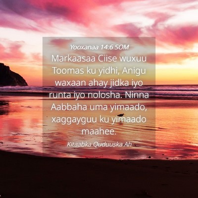 Picture 04 - Yooxanaa 14:6 SOM - Markaasaa Ciise wuxuu Toomas ku yidhi, Anigu - Bible Verse Picture