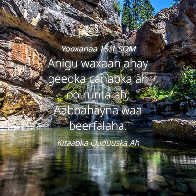 Picture 04 - Yooxanaa 15:1 SOM - Anigu waxaan ahay geedka canabka ah oo runta ah; - Bible Verse Picture