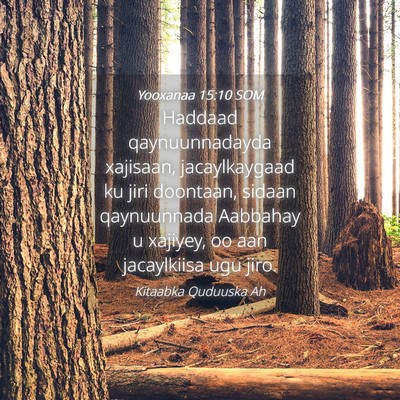 Picture 04 - Yooxanaa 15:10 SOM - Haddaad qaynuunnadayda xajisaan, jacaylkaygaad ku - Bible Verse Picture