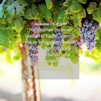 Picture 04 - Yooxanaa 15:22 SOM - Haddaanan iman oo aanan la hadlin, dembi ma ay - Bible Verse Picture