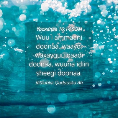 Picture 04 - Yooxanaa 16:14 SOM - Wuu i ammaani doonaa, waayo, waxayguu qaadi - Bible Verse Picture