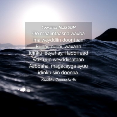 Picture 04 - Yooxanaa 16:23 SOM - Oo maalintaasna waxba ima weyddiin doontaan. - Bible Verse Picture