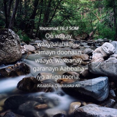 Picture 04 - Yooxanaa 16:3 SOM - Oo waxay waxyaalahaas u samayn doonaan, waayo, - Bible Verse Picture