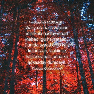 Picture 04 - Yooxanaa 16:33 SOM - Waxyaalahaas waxaan idiinkula hadlay inaad nabad - Bible Verse Picture