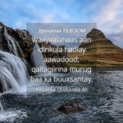 Picture 04 - Yooxanaa 16:6 SOM - Waxyaalahaas aan idinkula hadlay aawadood, - Bible Verse Picture