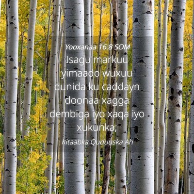 Picture 04 - Yooxanaa 16:8 SOM - Isagu markuu yimaado wuxuu dunida ku caddayn - Bible Verse Picture