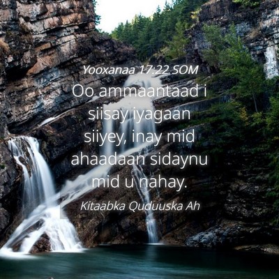 Picture 04 - Yooxanaa 17:22 SOM - Oo ammaantaad i siisay iyagaan siiyey, inay mid - Bible Verse Picture