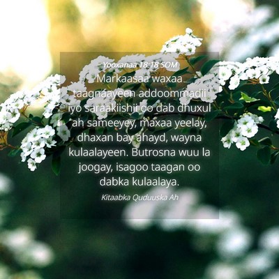 Picture 04 - Yooxanaa 18:18 SOM - Markaasaa waxaa taagnaayeen addoommadii iyo - Bible Verse Picture