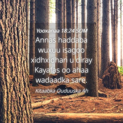 Picture 04 - Yooxanaa 18:24 SOM - Annas haddaba wuxuu isagoo xidhxidhan u diray - Bible Verse Picture