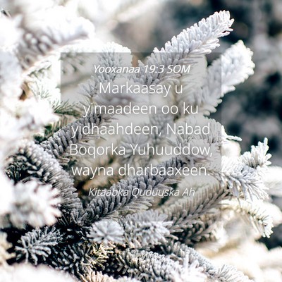 Picture 04 - Yooxanaa 19:3 SOM - Markaasay u yimaadeen oo ku yidhaahdeen, Nabad - Bible Verse Picture