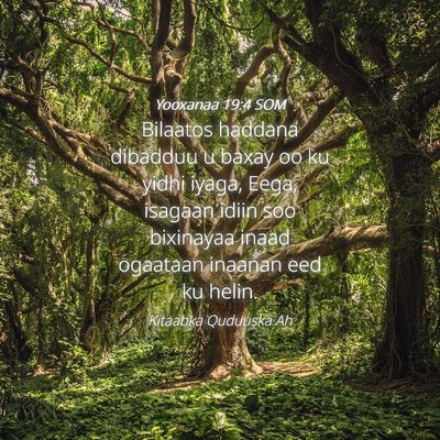 Picture 04 - Yooxanaa 19:4 SOM - Bilaatos haddana dibadduu u baxay oo ku yidhi - Bible Verse Picture