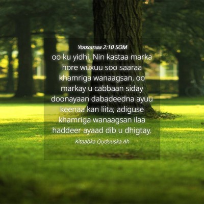 Picture 04 - Yooxanaa 2:10 SOM - oo ku yidhi, Nin kastaa marka hore wuxuu soo - Bible Verse Picture