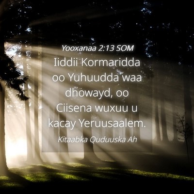Picture 04 - Yooxanaa 2:13 SOM - Iiddii Kormaridda oo Yuhuudda waa dhowayd, oo - Bible Verse Picture