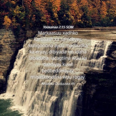 Picture 04 - Yooxanaa 2:15 SOM - Markaasuu xadhko karbaash ka sameeyey, - Bible Verse Picture