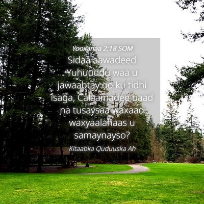 Picture 04 - Yooxanaa 2:18 SOM - Sidaa aawadeed Yuhuuddu waa u jawaabtay oo ku - Bible Verse Picture