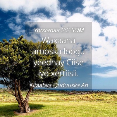 Picture 04 - Yooxanaa 2:2 SOM - Waxaana arooska loogu yeedhay Ciise iyo - Bible Verse Picture