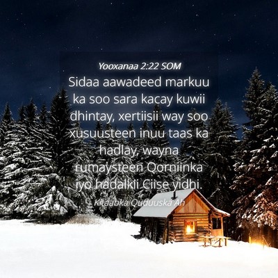 Picture 04 - Yooxanaa 2:22 SOM - Sidaa aawadeed markuu ka soo sara kacay kuwii - Bible Verse Picture