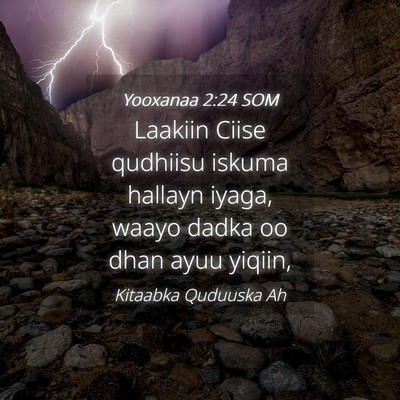 Picture 04 - Yooxanaa 2:24 SOM - Laakiin Ciise qudhiisu iskuma hallayn iyaga, - Bible Verse Picture