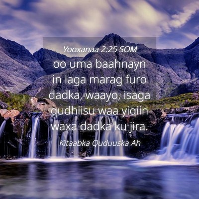Picture 04 - Yooxanaa 2:25 SOM - oo uma baahnayn in laga marag furo dadka, waayo, - Bible Verse Picture