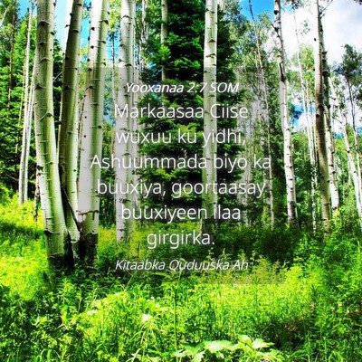 Picture 04 - Yooxanaa 2:7 SOM - Markaasaa Ciise wuxuu ku yidhi, Ashuummada biyo - Bible Verse Picture