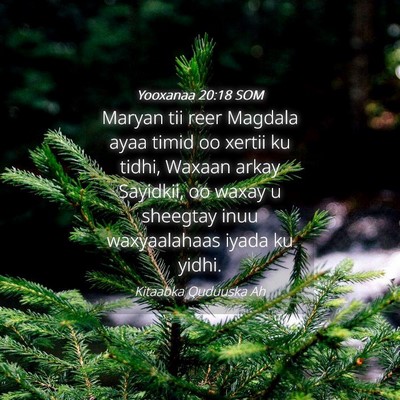 Picture 04 - Yooxanaa 20:18 SOM - Maryan tii reer Magdala ayaa timid oo xertii ku - Bible Verse Picture
