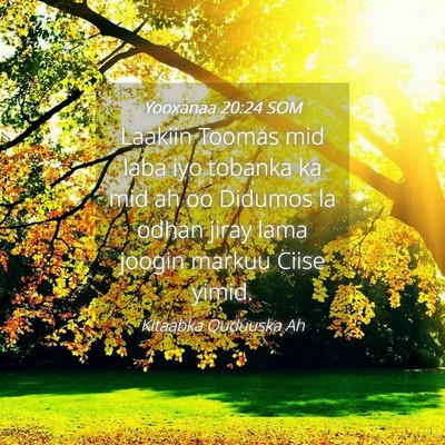 Picture 04 - Yooxanaa 20:24 SOM - Laakiin Toomas mid laba iyo tobanka ka mid ah oo - Bible Verse Picture