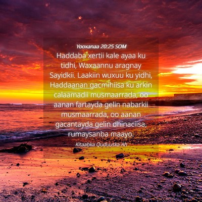 Picture 04 - Yooxanaa 20:25 SOM - Haddaba xertii kale ayaa ku tidhi, Waxaannu - Bible Verse Picture