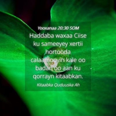 Picture 04 - Yooxanaa 20:30 SOM - Haddaba waxaa Ciise ku sameeyey xertii hortooda - Bible Verse Picture
