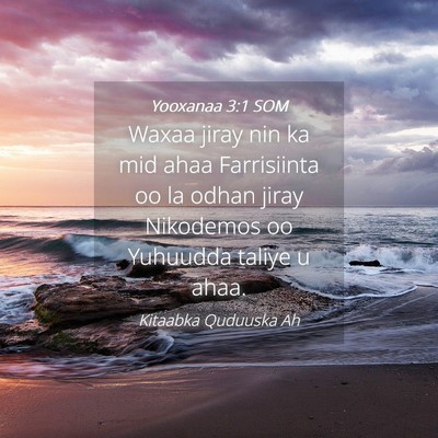 Picture 04 - Yooxanaa 3:1 SOM - Waxaa jiray nin ka mid ahaa Farrisiinta oo la - Bible Verse Picture