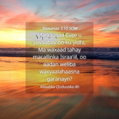 Picture 04 - Yooxanaa 3:10 SOM - Markaasaa Ciise u jawaabay oo ku yidhi, Ma waxaad - Bible Verse Picture