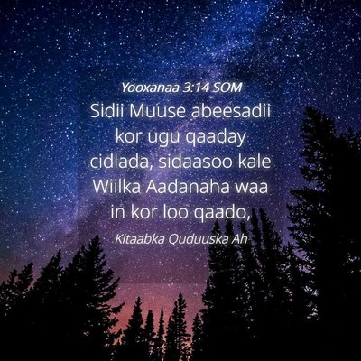 Picture 04 - Yooxanaa 3:14 SOM - Sidii Muuse abeesadii kor ugu qaaday cidlada, - Bible Verse Picture