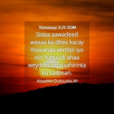 Picture 04 - Yooxanaa 3:25 SOM - Sidaa aawadeed waxaa ka dhex kacay Yooxanaa - Bible Verse Picture