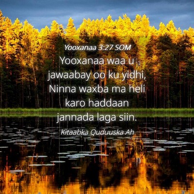 Picture 04 - Yooxanaa 3:27 SOM - Yooxanaa waa u jawaabay oo ku yidhi, Ninna waxba - Bible Verse Picture