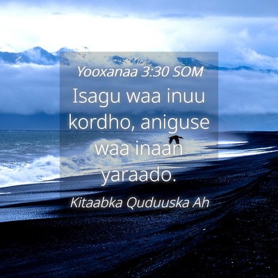 Picture 04 - Yooxanaa 3:30 SOM - Isagu waa inuu kordho, aniguse waa inaan - Bible Verse Picture