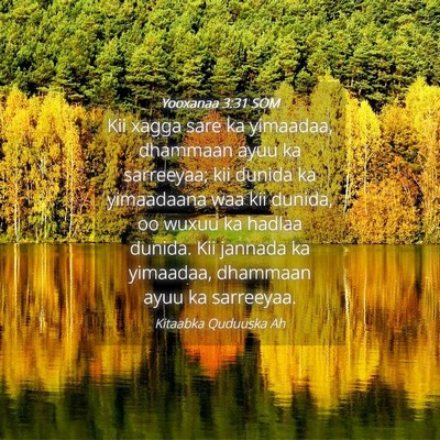 Picture 04 - Yooxanaa 3:31 SOM - Kii xagga sare ka yimaadaa, dhammaan ayuu ka - Bible Verse Picture