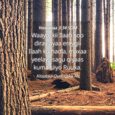 Picture 04 - Yooxanaa 3:34 SOM - Waayo, kii Ilaah soo diray ayaa ereygii Ilaah ku - Bible Verse Picture