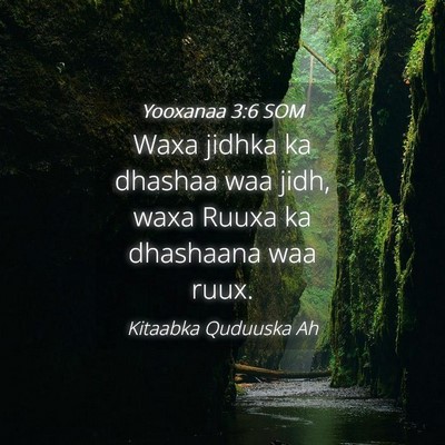 Picture 04 - Yooxanaa 3:6 SOM - Waxa jidhka ka dhashaa waa jidh, waxa Ruuxa ka - Bible Verse Picture