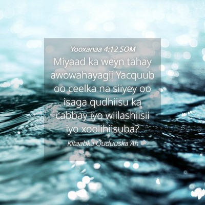 Picture 04 - Yooxanaa 4:12 SOM - Miyaad ka weyn tahay awowahayagii Yacquub oo - Bible Verse Picture