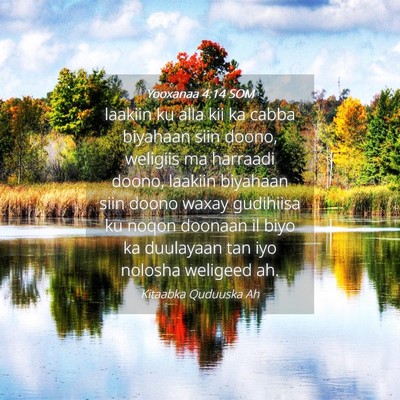 Picture 04 - Yooxanaa 4:14 SOM - laakiin ku alla kii ka cabba biyahaan siin doono, - Bible Verse Picture