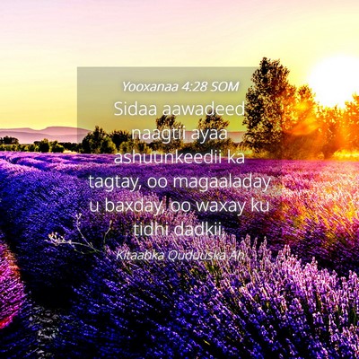 Picture 04 - Yooxanaa 4:28 SOM - Sidaa aawadeed naagtii ayaa ashuunkeedii ka - Bible Verse Picture