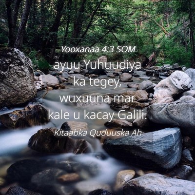Picture 04 - Yooxanaa 4:3 SOM - ayuu Yuhuudiya ka tegey, wuxuuna mar kale u kacay - Bible Verse Picture